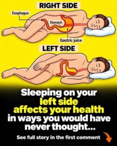 This is what sleeping on the left side does for our brain, stomach & glymphatic health