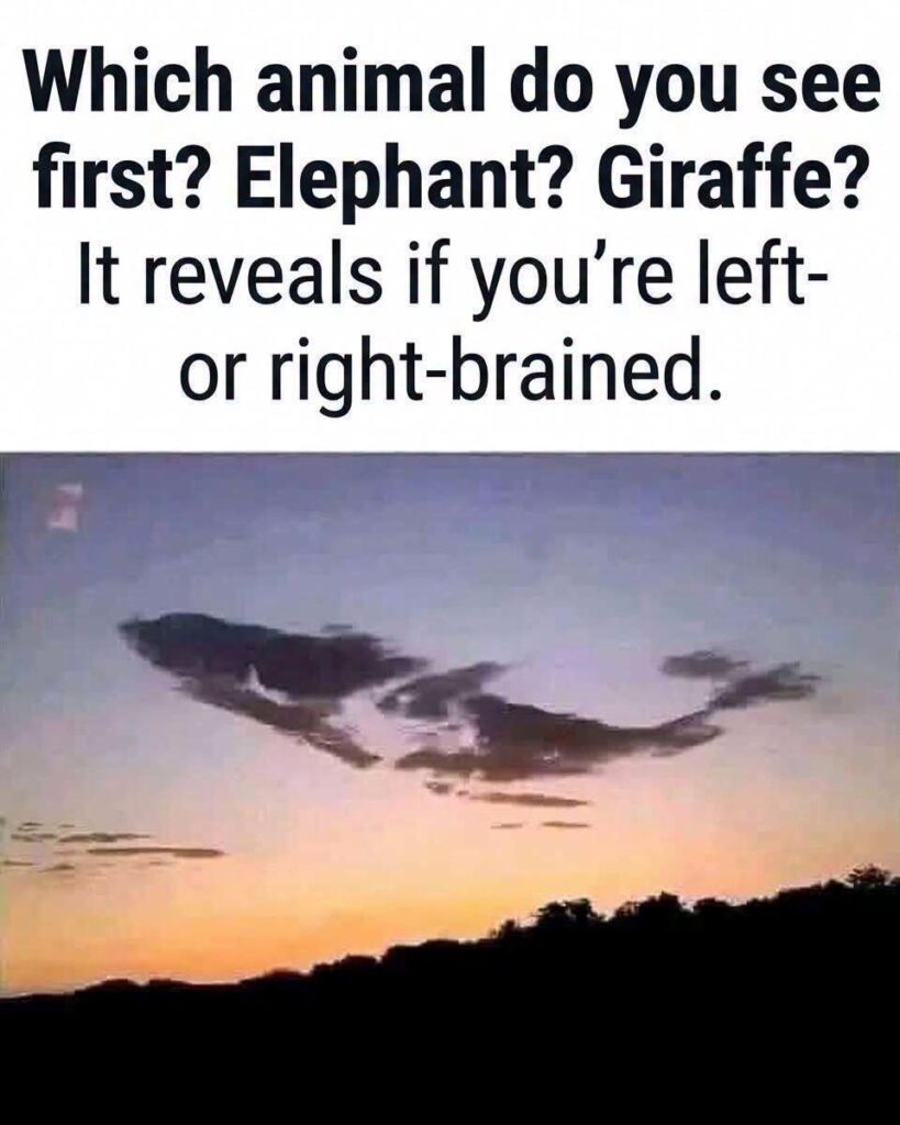 The viral cloud personality puzzle that reveals whether you play with Elephant Logic or Giraffe Vision!
