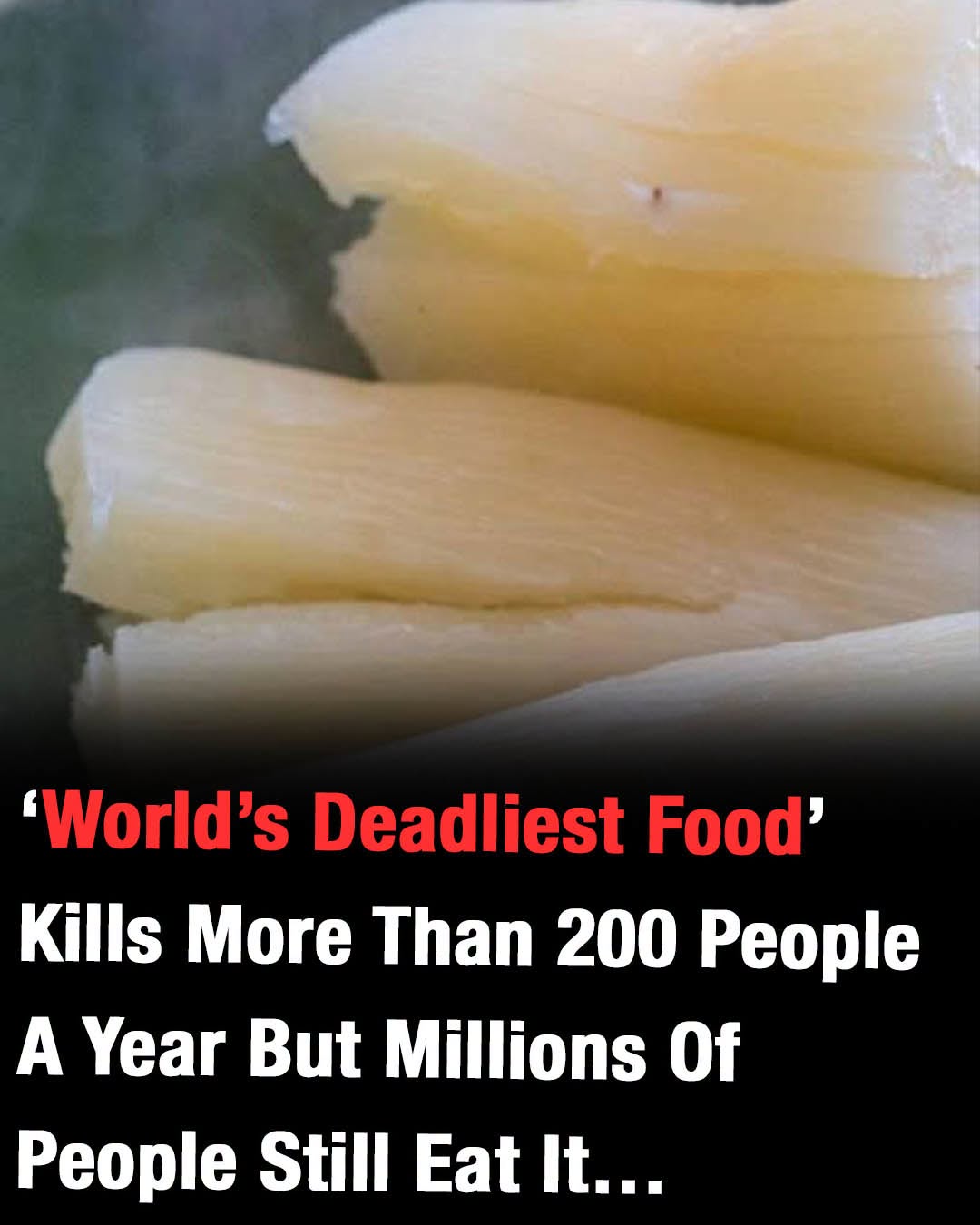 World’s ‘deadliest food’ kills 200 each year
