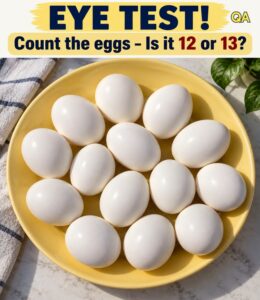Eye Test: Count The Eggs!!