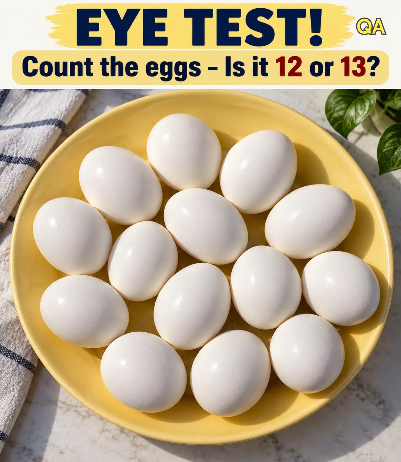 Eye Test: Count The Eggs!!