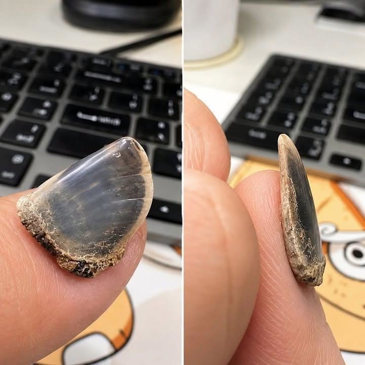 Understanding Why You Have Lines on Your Nails