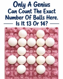 Count The Exact Number of Balls.
