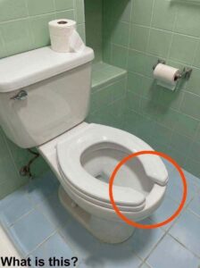 The Toilet Seat Detail Most People Never Notice