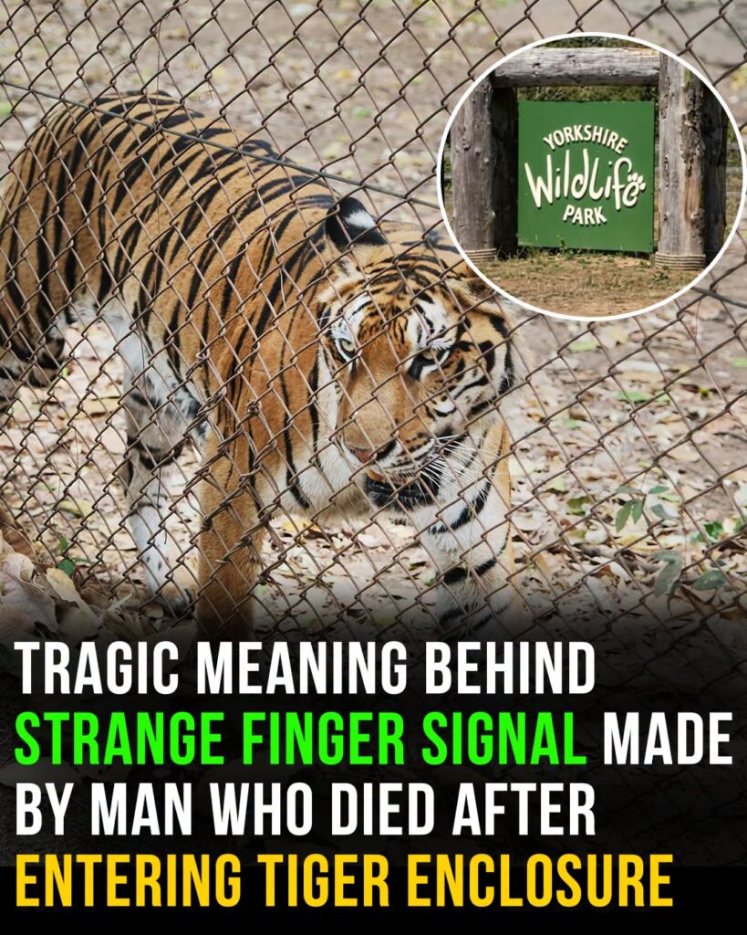 Meaning behind strange finger signal made by man mauled to death in tiger enclosure