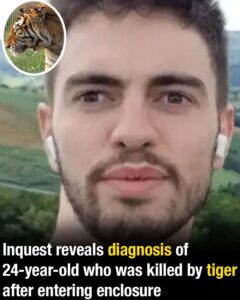 Inquest reveals diagnosis of 24-year-old who was killed by tiger after entering enclosure