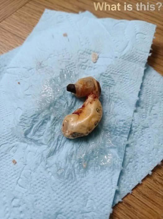 A Mother Entered Her Son’s Room and Made a Discovery She Never Expected