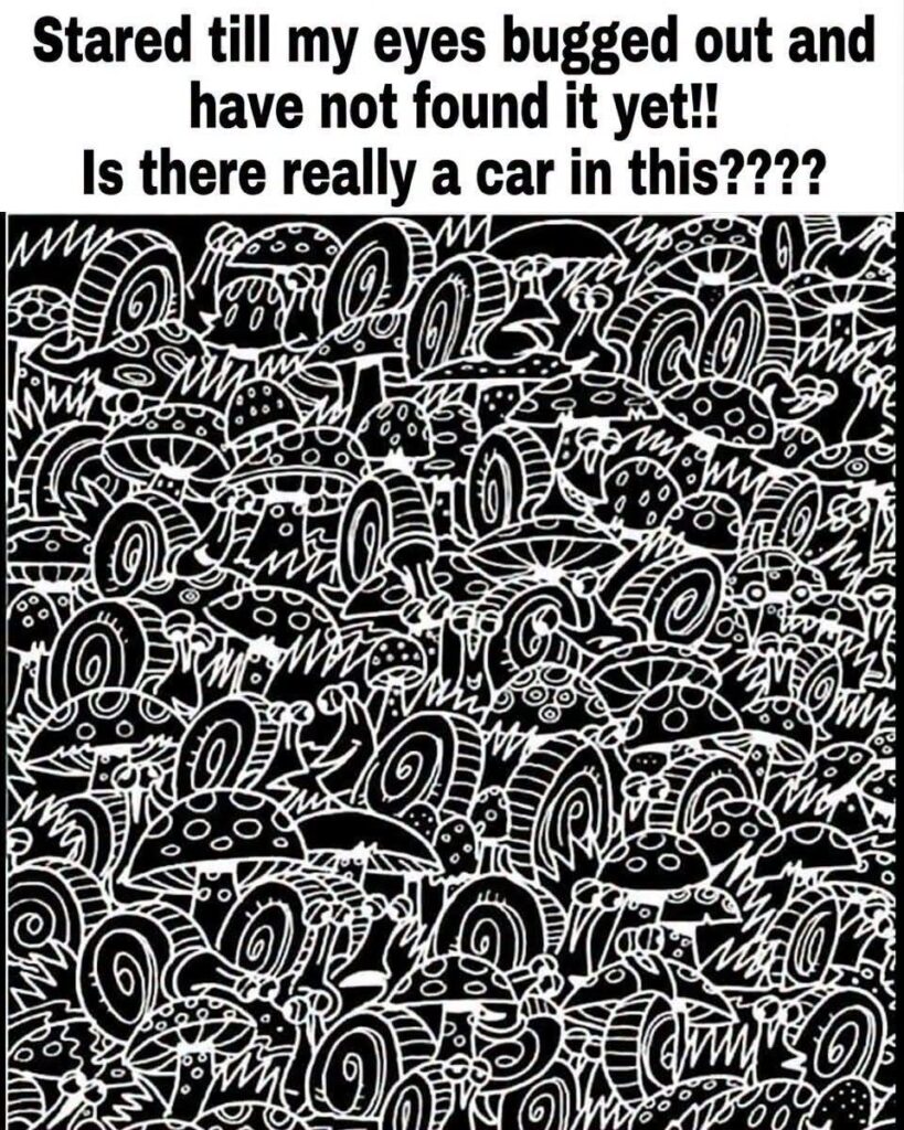 Is there really a car in this????