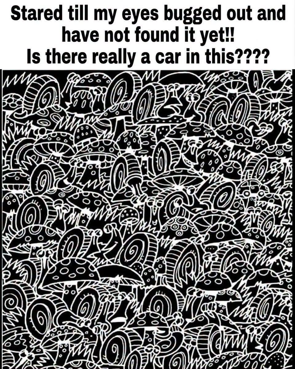 Is there really a car in this????