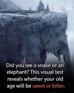 Snake or Elephant? This Viral Optical Illusion Claims to Reveal How You See the Future