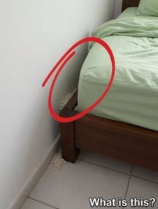 I Found Strange White Spheres Beside My Bed—and I Was Terrified