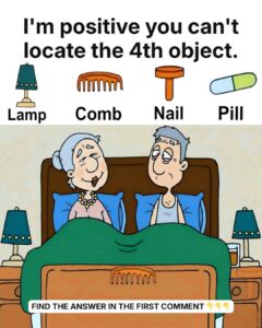 Can You Find the 4 Hidden Objects