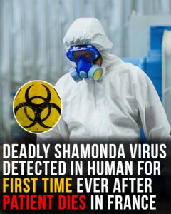 Shamonda virus detected in human for first time ever as patient dies in France