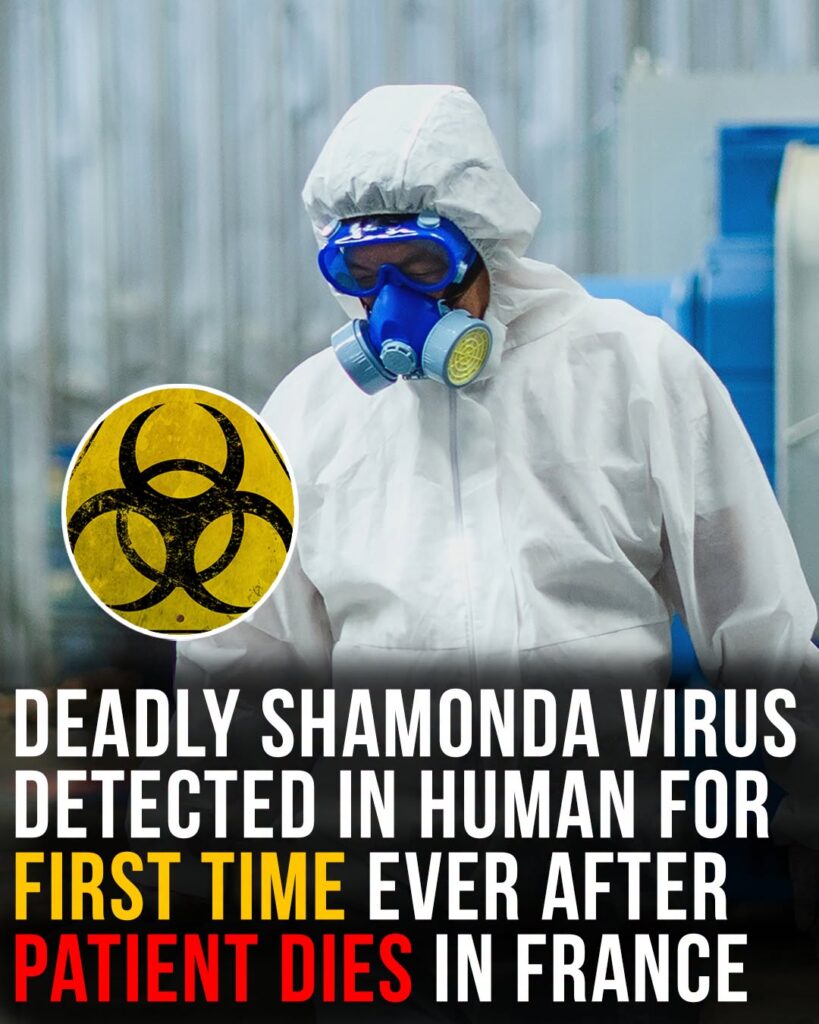 Shamonda virus detected in human for first time ever as patient dies in France