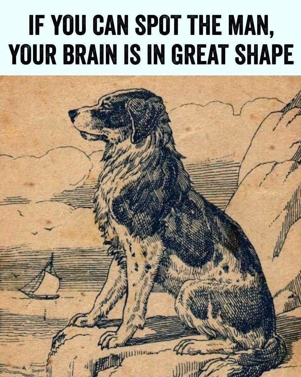 Brain Teaser: Spot the Hidden Man!