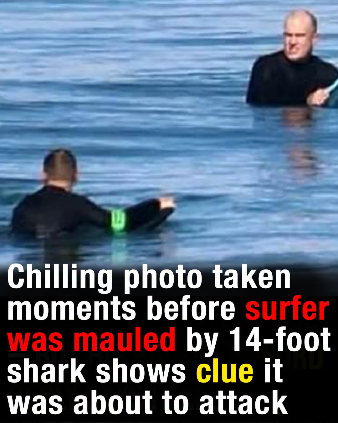 Chilling photo taken moments before surfer was mauled by 14-foot shark shows clue it was about to attack