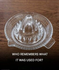 The Glass Citrus Juicer: Memories of the Past