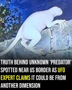 Truth behind unknown ‘predator’ spotted near US border as UFO expert claims it could be from another dimension