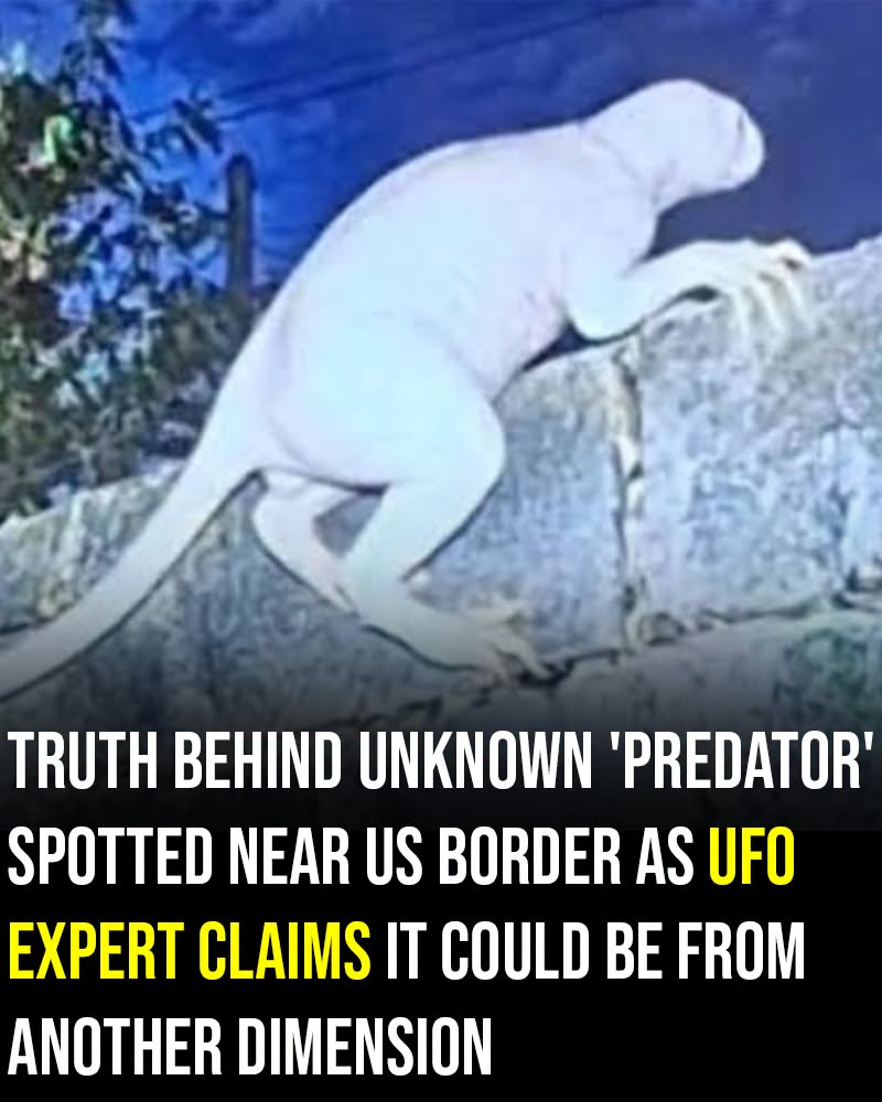 Truth behind unknown ‘predator’ spotted near US border as UFO expert claims it could be from another dimension