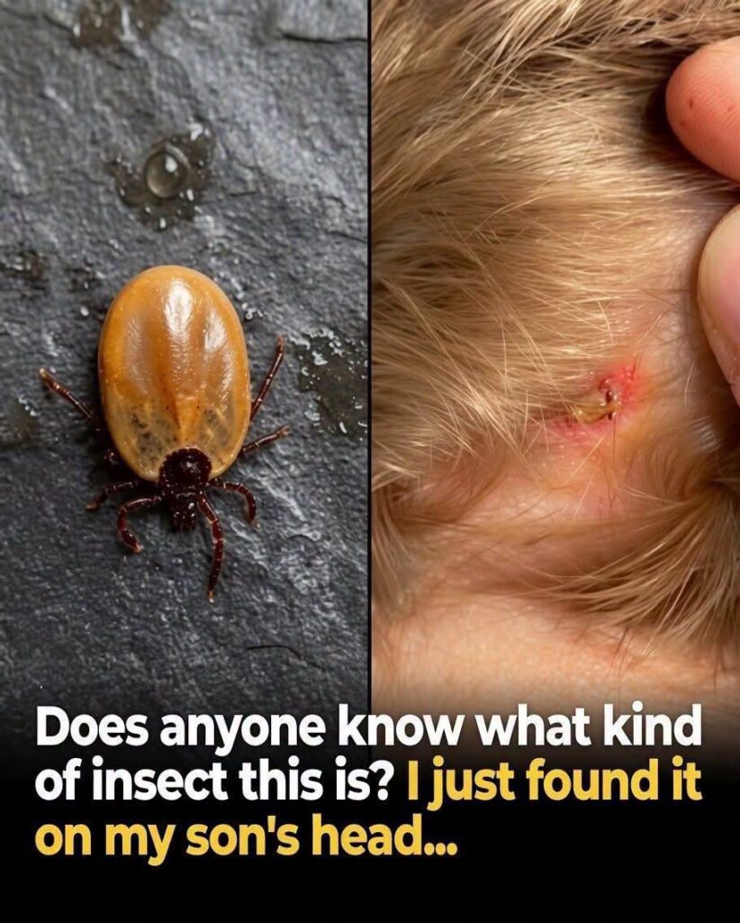 You Are Likely Ignoring The Deadly Warning