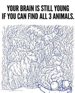 Find All 3 Animals.