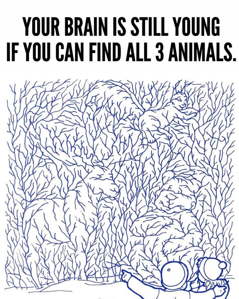 Find All 3 Animals.
