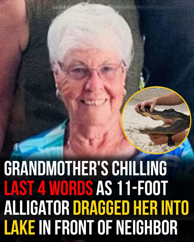 Grandmother’s last 4 words as 11-foot alligator dragged her into lake in front of neighbor