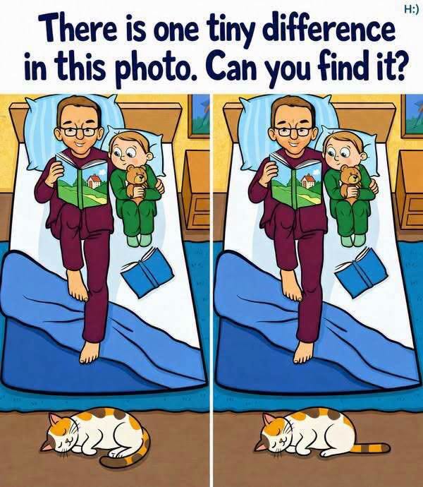 Can You Spot the Hidden Difference in These Two Cozy Illustrations?