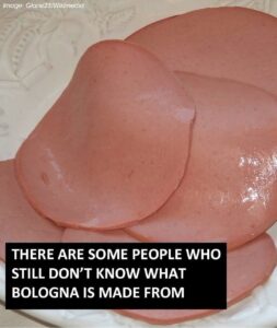 What Is Bologna Really Made Of? A Clear Look at Ingredients, Production, and Common Myths