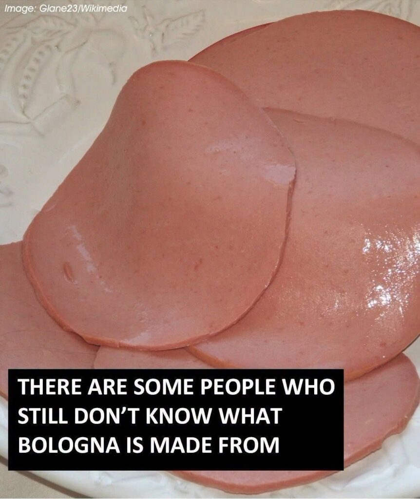 What Is Bologna Really Made Of? A Clear Look at Ingredients, Production, and Common Myths